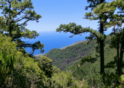 Berglandschaft im Norden La Palmas